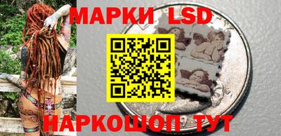 ПСИЛОЦИБИНОВЫЕ ГРИБЫ Заволжье