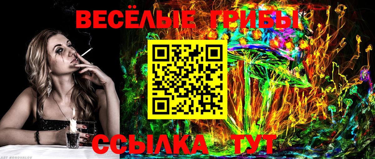 Галлюциногенные грибы Cubensis  Галлюциногенные грибы Psilocybine cubensis  Вход с VPN  Алапаевск 