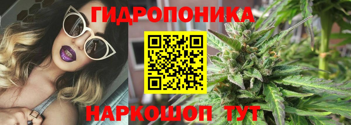 Шишки марихуана Amnesia Алапаевск